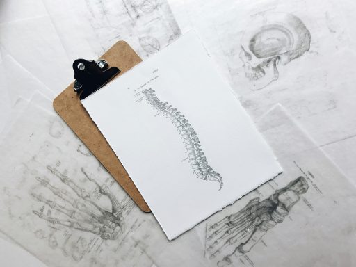 Line drawing of spine- Restorative Health, Lincoln