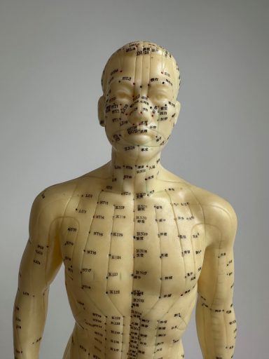 Model showing acupuncture channels - Restorative Health
